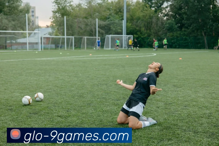 J9九游会官网APP 封面图